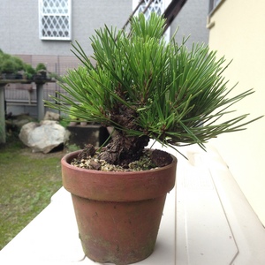 2014720.JPG