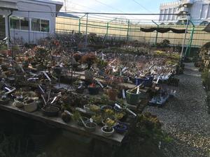 IMG_0157.JPG