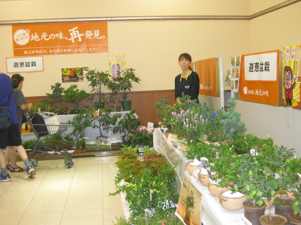 養庄園徒然日記 スタッフの独り言 盆栽